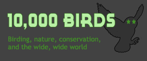 10,000 Birds - Birding, nature, conservation, and the wide, wide world