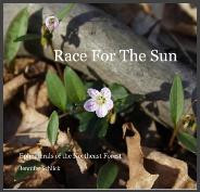 Race for the Sun
